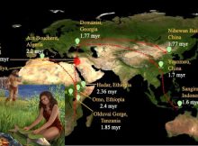 Prehistoric Humans Cooked 780,000 Years Ago - Oldest Evidence Of Controlled Fire Discovered