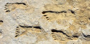 There Is A Problem With Footprints Claimed As Evidence Of Ice Age Humans In North America - Scientists Say
