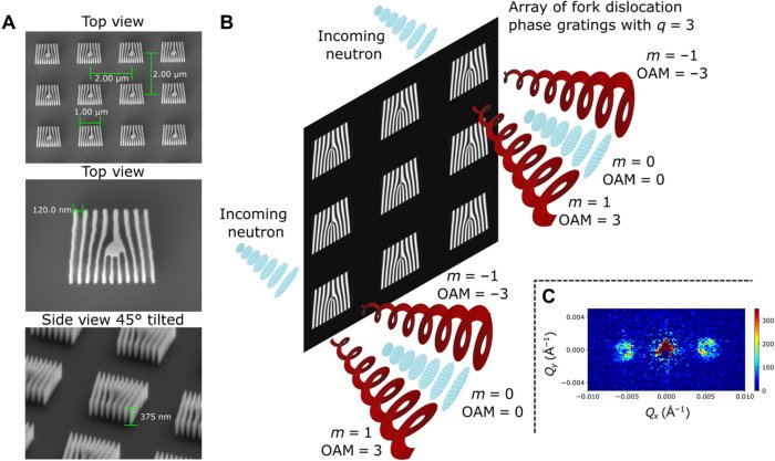 1 / 1Holographic approach to generating neutron helical wavefronts that carry well-defined OAM. (A) SEM images characterizing the array of fork dislocation phase gratings used to generate the neutron helical wavefronts. The arrays covered an area of 0.5 cm by 0.5 cm and consisted of 6,250,000 individual 1 μm–by–1 μm fork dislocation phase gratings that had a period of 120 nm, had a height of 500 nm, and were separated by 1 μm on each sides. Three arrays with topological charges of q = 0 (standard grating profile), q = 3 (shown here), and q = 7 were used in the experiment. (B) Each phase grating generates a diffraction spectra consisting of diffraction orders (m) that carry a well-defined OAM value of ℓ = mħq. (C) Intensity in the far field is the sum over the signal from all of the individual fork dislocation phase gratings. Shown is an example of the collected small-angle neutron scattering (SANS) data. Credit: Science Advances (2022). DOI: 10.1126/sciadv.add2002