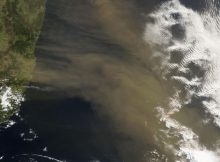 Dust from the continents' interior delivers iron to nutrient-poor ocean areas. Here: A dust plume blows across the Tasman Sea from the east coast of Australia between Sydney and Brisbane on 28 October 2003. Photo: Jeff Schmaltz, MODIS Rapid Response Team, NASA/GSFC