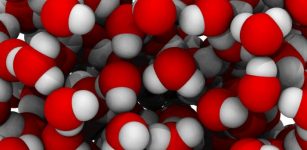 Molecular simulation results showing how water molecules move and structure around one another in the high density liquid phase. Credit: Georgia Tech