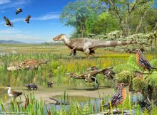 Fossils reveal dinosaurs of prehistoric Patagonia