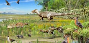 Fossils reveal dinosaurs of prehistoric Patagonia