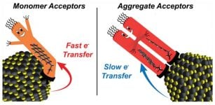 Chemists from Rice University and the University of Texas at Austin showed that adding more charge-accepting ligands to the surface of semiconducting nanocrystals can produce ligand-ligand interactions that reduce the rate of electron transfer in hybrid nanomaterials. (Image courtesy of P. Rossky/Rice University)