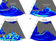 Early Human Migration To Americas Linked To Climate Change