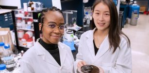 Researchers Néhémie Guillomaitre and Xiaohui Xu hold a sample of the solar-powered gel which acts like a sponge to absorb water and requires only sunlight to filter contaminants. (Photo by Bumper DeJesus)