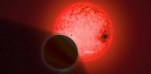 Unusual Discovery: Gas Giant Planet Orbits A Small Red Dwarf Star TOI-5205