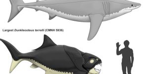 Cleveland's Prehistoric Sea Monster Had A Mouth Twice As Large As A Great White Shark