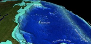 This visualization depicts bathymetric features of the western Atlantic Ocean Basin, including the continental shelf, captured by satellite. Credit: NOAA's National Environmental Satellite and Information Service