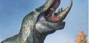 Predatory Dinosaurs Such As T. rex Sported Lizard-Like Lips - Study Suggests