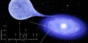 Artist's impression - of a supersoft X-ray source: the accretion disk around a white dwarf star is made mainly of helium.