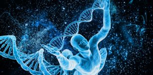 "Deleted" Pieces Of DNA May Be What Made Us Human - Scientists Say