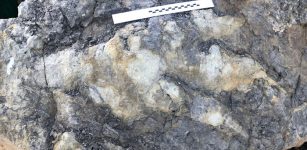 Giant Meat-Eating Dinosaur Footprint Found In Yorkshire Could Be The Largest Ever