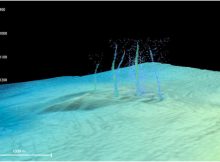 Warm Liquid Spewing From Oregon Seafloor Comes From Cascadia Fault - Clues To Earthquake Hazards