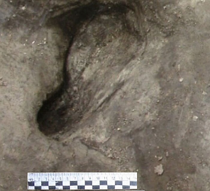Sensational Discovery: 300,000-Year-Old Snapshot - Oldest Human Footprints From Germany Found