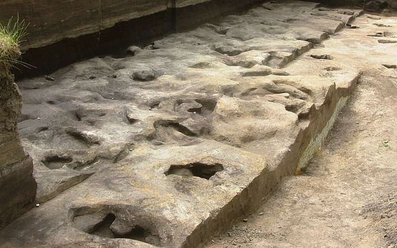 Sensational Discovery: 300,000-Year-Old Snapshot - Oldest Human Footprints From Germany Found