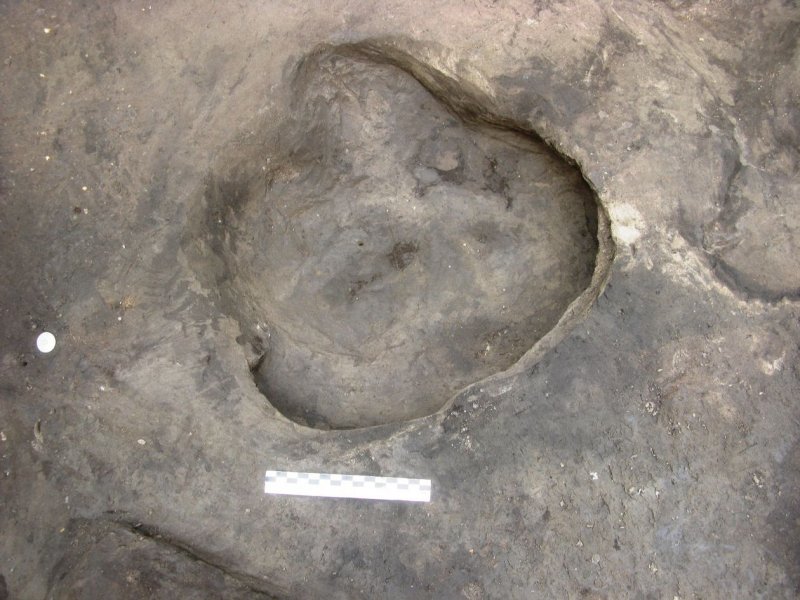 Sensational Discovery: 300,000-Year-Old Snapshot - Oldest Human Footprints From Germany Found