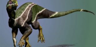 Newly Discovered Dinosaur, 'Iani,' Was Face Of a Changing Planet