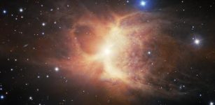 Gemini South Captures Toby Jug Nebula - A Rare Astronomical Find
