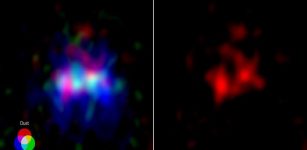 (Left) Dust is shown in red, oxygen is shown in green, and starlight imaged by the Hubble Space Telescope is shown in blue. (Credit: ALMA (ESO/NAOJ/NRAO), Y. Tamura et al., NASA/ESA Hubble Space Telescope) (Right) ALMA dust emissions shown alone. A vertically elongated elliptical cavity, a possible superbubble, is visible in the central region. (Credit: ALMA (ESO/NAOJ/NRAO), Y. Tamura et al.)