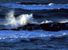 Disturbing Climate Calculation: Scientists Predict A Collapse Of Atlantic Ocean Current To Happen Mid-Century
