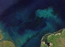 Ocean’s Color Is Changing As A Consequence Of Climate Change