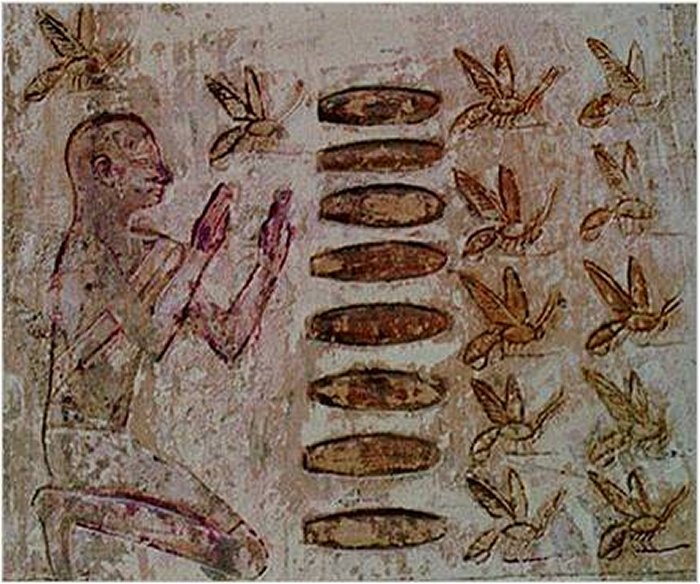 Bees – Embodiment Of Human Soul, Divine Messengers Symbolizing Invisible Bridge Connecting Life And Death