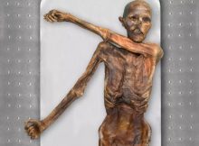 Ötzi Had Dark Skin, Bald Head And Anatolian Ancestry- DNA Reveals