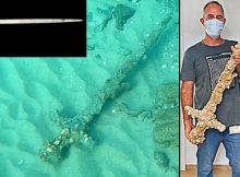 Medieval Sword Found In The Sea Off The Carmel Coast Was Probably Used In Combat 800 Years Ago