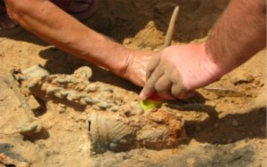 Latest Archaeology News