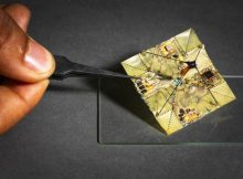 Battery-Free Robots Use Origami To Change Shape In Mid-Air