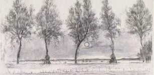 Leonardo da Vinci's 'Rule Of Trees' - Disproved