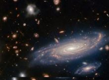 The big galaxy in the foreground is named LEDA 2046648, and is seen just over a billion years back in time, while most of the others lie even farther away, and hence are seen even further back in time. ESA/Webb, NASA & CSA, A. Martel.