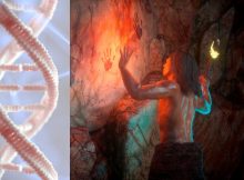 Something Strange Happened To Our Ancestors 900,000 Years Ago - Genetic Study Reveals