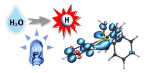 A hydrogen atom (H) from water (H2O) is transferred to a phosphine-water radical cation under the supply of light energy (LED). This important radical intermediate can further transfer the hydrogen atom (white) to the substrate. The blue regions indicate the electron spin distribution. © Christian Mück-Lichtenfeld