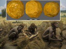 Are The Mysterious ‘Ubeidiya Limestone Spheroids Of Early Hominins Evidence Of Intentional Symmetric Geometry?
