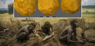 Are The Mysterious ‘Ubeidiya Limestone Spheroids Of Early Hominins Evidence Of Intentional Symmetric Geometry?