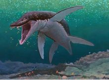 170-Million-Year-Old Sea Monster Identified As The Oldest Mega-Predatory Pliosaur'