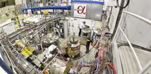 Effect Of Gravity On The Antimatter's Motion Observed For The First Time