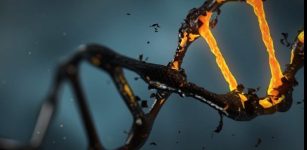 Novel DNA Nano-Engine Develoiped