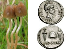 Strange Tale How The Liberty Cap Mushroom Got Its Name Starts In Ancient Rome