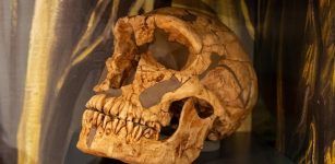 Why Is La Ferrassie Man A Unique And Famous Neanderthal?