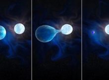 First Population Of Binary Stripped Stars - Discovered