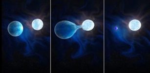 First Population Of Binary Stripped Stars - Discovered