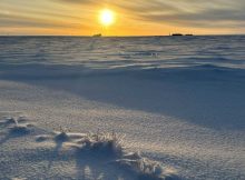 Warming In The Arctic and Focus On Albedo - New Study