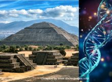 DNA Study Sheds New Light On The Ancient Teotihuacans