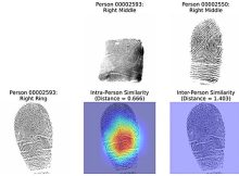 Fingerprints Are Not Unique - New Discovery Made By New AI SystemAI Discovers That Not Every Fingerprint Is Unique