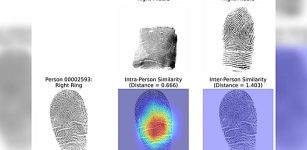 Fingerprints Are Not Unique - New Discovery Made By New AI SystemAI Discovers That Not Every Fingerprint Is Unique