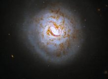 This new NASA Hubble Space Telescope image features the face-on spiral and Seyfert galaxy, ESO 420-G013. NASA/ESA/A. Evans (University of Virginia)/Processing: Gladys Kober (NASA/Catholic University of America)