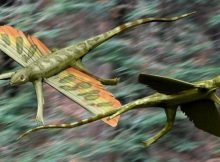 200-Million-Year-Old Flying Reptile Kuehneosaurus Discovered In Somerset, UK